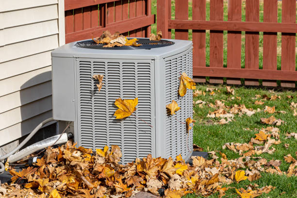Best HVAC Maintenance Near Me  in Ivanhoe, TX